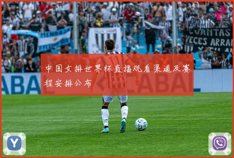 中国女排世界杯直播观看渠道及赛程安排公布