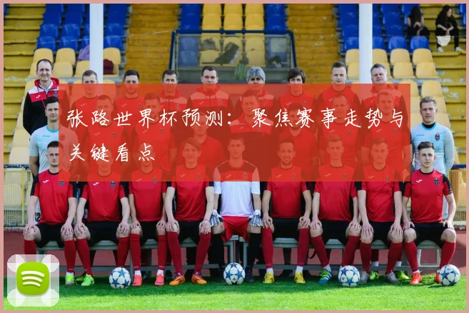 张路世界杯预测：聚焦赛事走势与关键看点