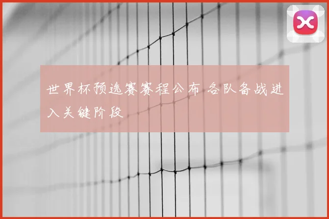 世界杯预选赛赛程公布 各队备战进入关键阶段