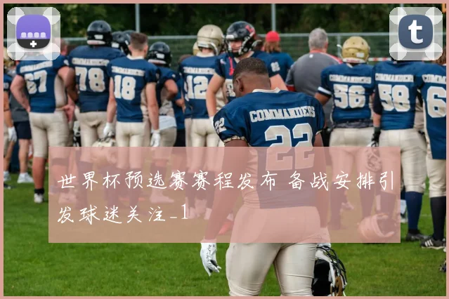 世界杯预选赛赛程发布 备战安排引发球迷关注_1