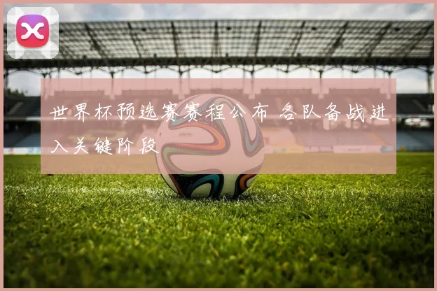 世界杯预选赛赛程公布 各队备战进入关键阶段