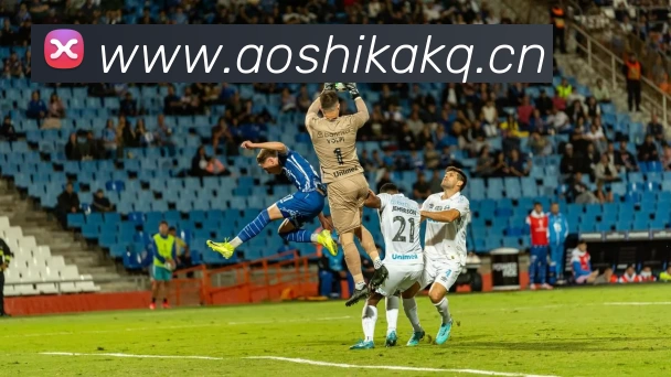 爱游戏(中国)ayx·官方网站 - 科技股份有限公司发展历程